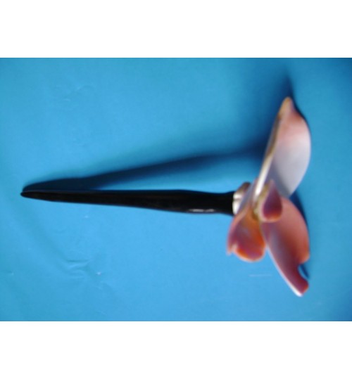 Trâm cài tóc sừng ốc